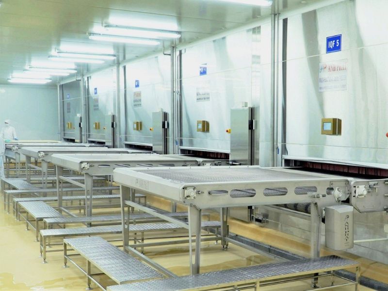 Băng Tải Cấp Đông IQF Là Gì? Cấu Tạo Và Nguyên Lý Hoạt Động