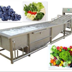 Băng tải lưới inox rửa rau củ